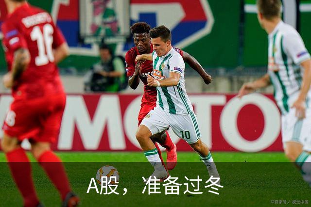 A股，准备过冬